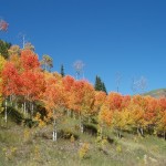 Fall Colors Colorado